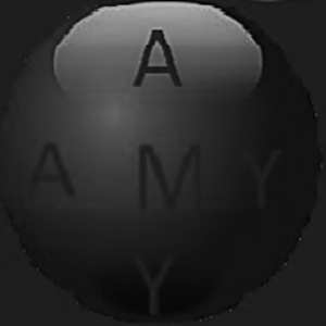 Amy Finance